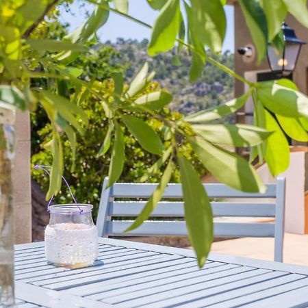Bellavista Port De Soller Apartment ภายนอก รูปภาพ